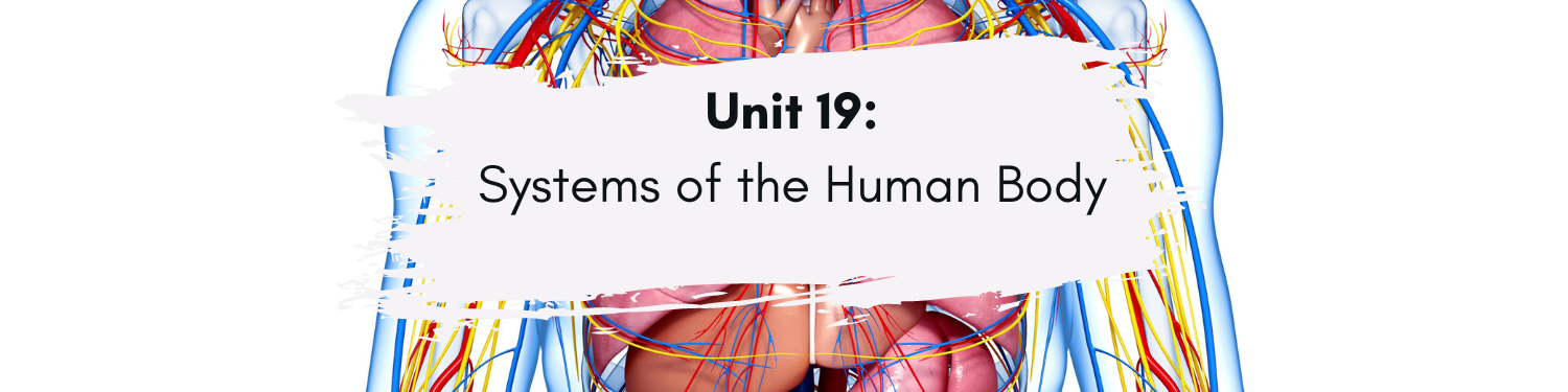 Unit 19: Systems of the Human Body Banner